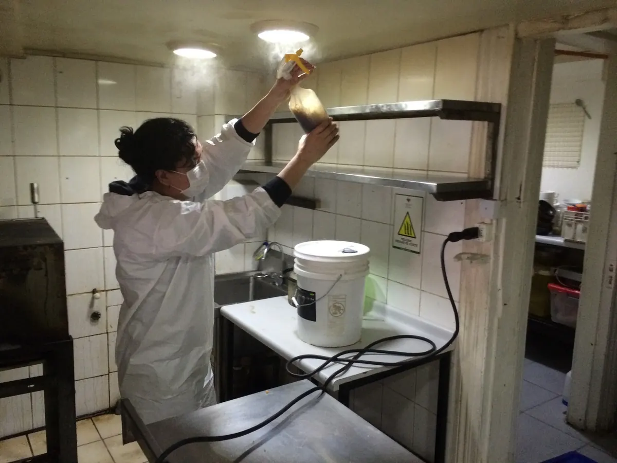 Limpieza a vapor de campana y ducto en cocina industrial